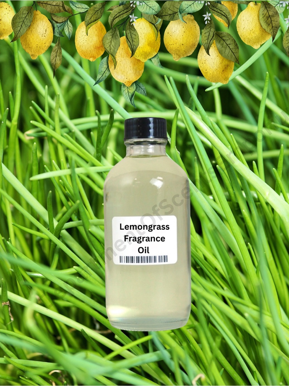 Lemongrass 4 Oz Burning Aromatherapy Fragrance Oil